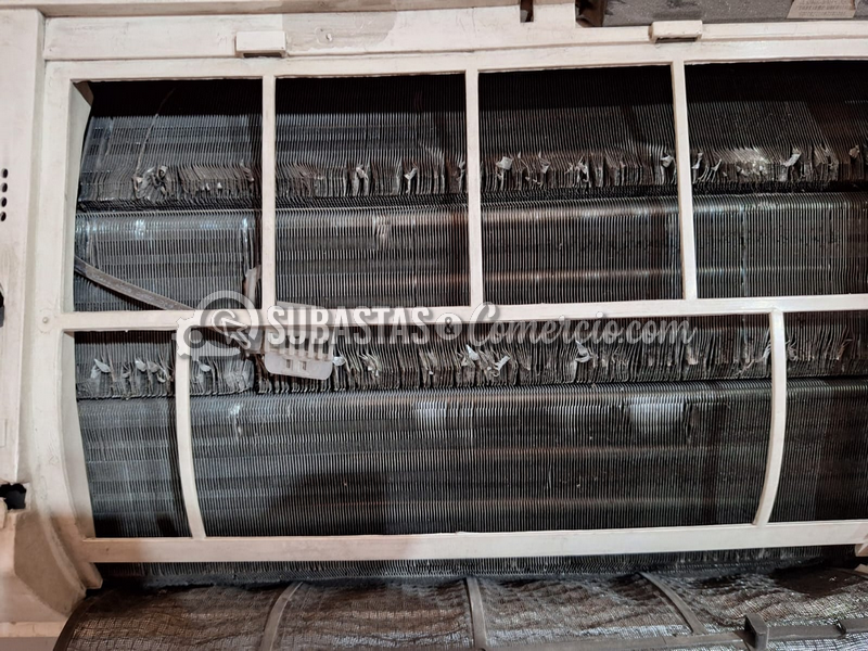 WhatsApp Image 2025-03-26 at 9.16.06 PM (4).png